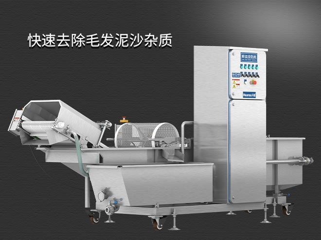 果蔬清洗機(jī)制造廠家，氣泡清洗，清洗800kg/小時(shí)