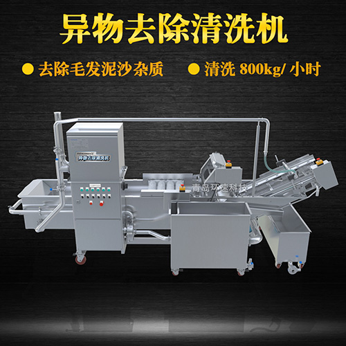 果蔬清洗機(jī)設(shè)備，氣泡清洗，清洗800kg小時(shí)